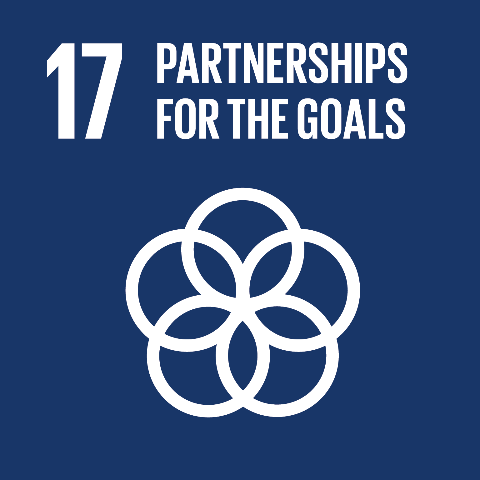 SDG 17 : Partnerships for the Goals | Sustainable Development Matters