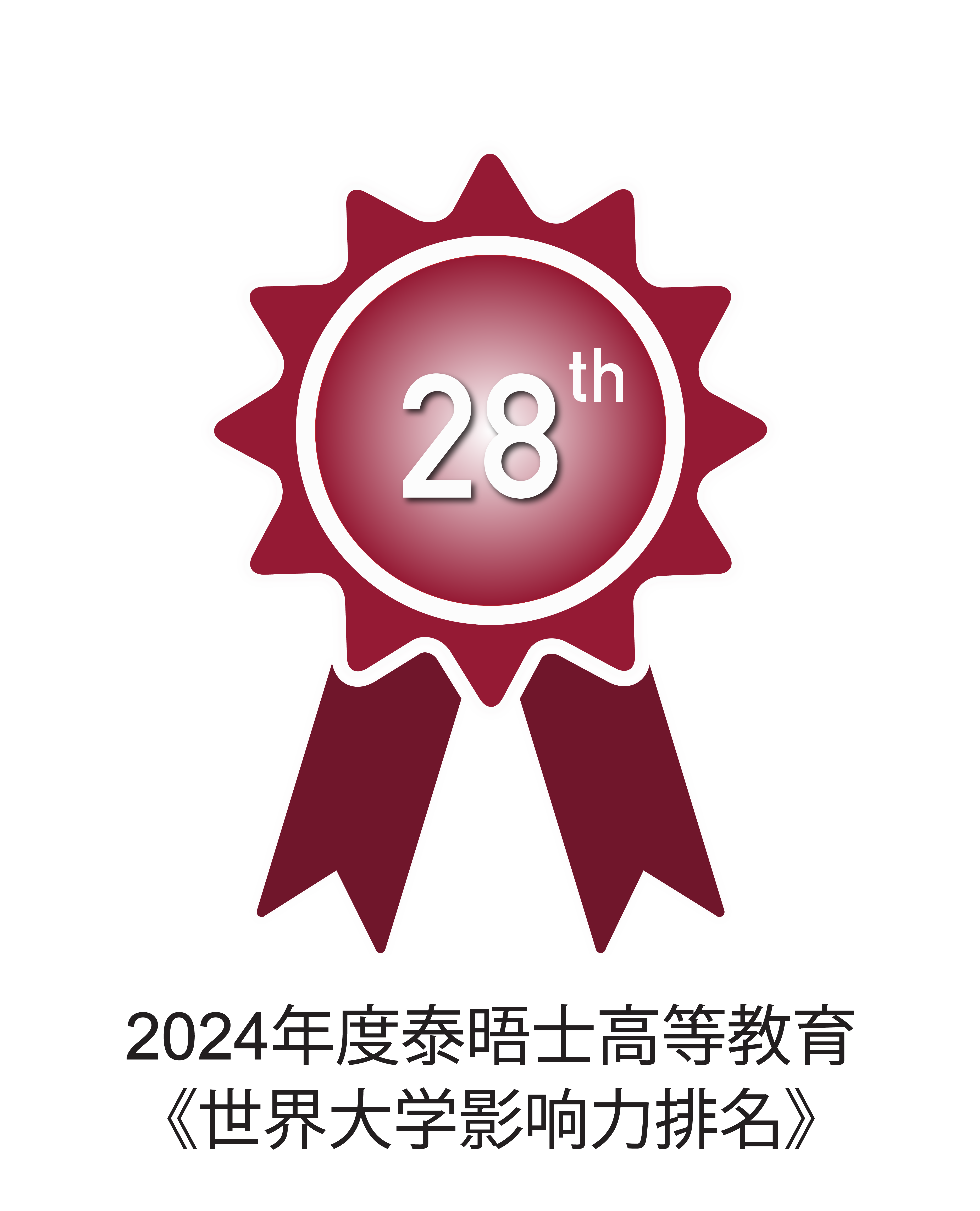 THE impact rankings_2024-SDG8_simplified Chinese